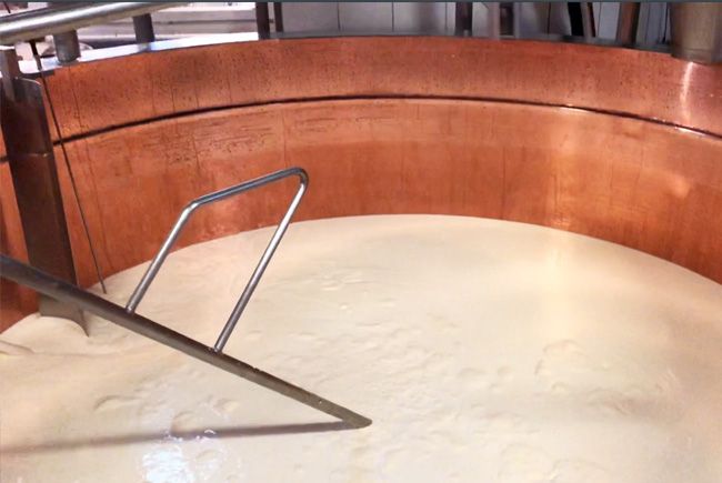 Cuve en cuivre pour le brassage du lait