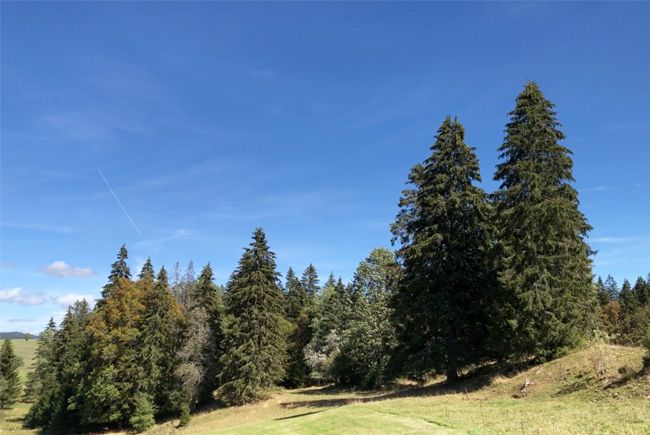 Paysage de la région du Lieu