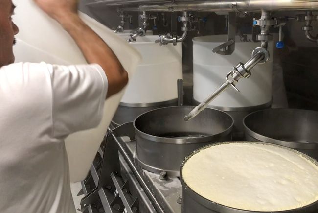 Démoulage des fromages dans la presse à fromages