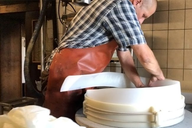 Dépressage et démoulage des fromages ”Gruyère d'Alpage”